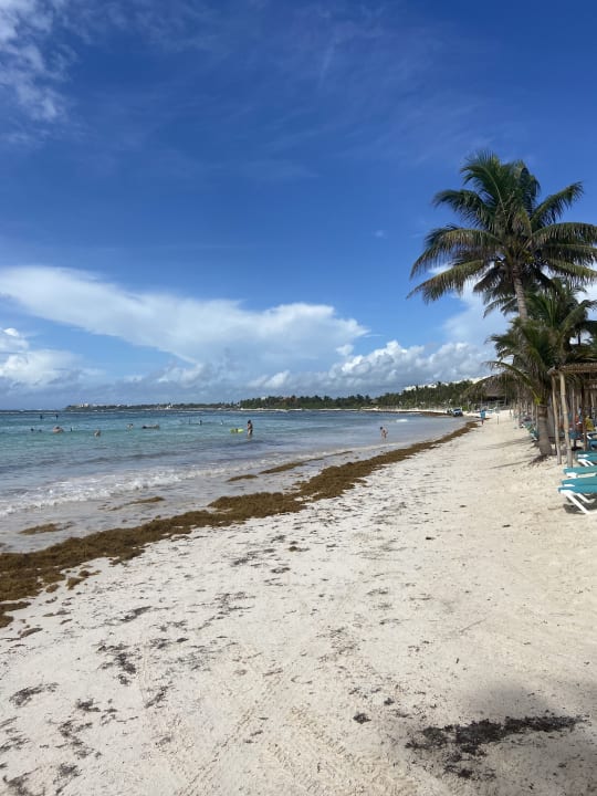 Strand Akumal Bay Beach & Wellness Resort