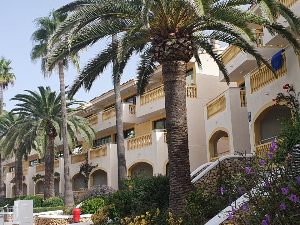 Gartenanlage Royal Son Bou Family Club