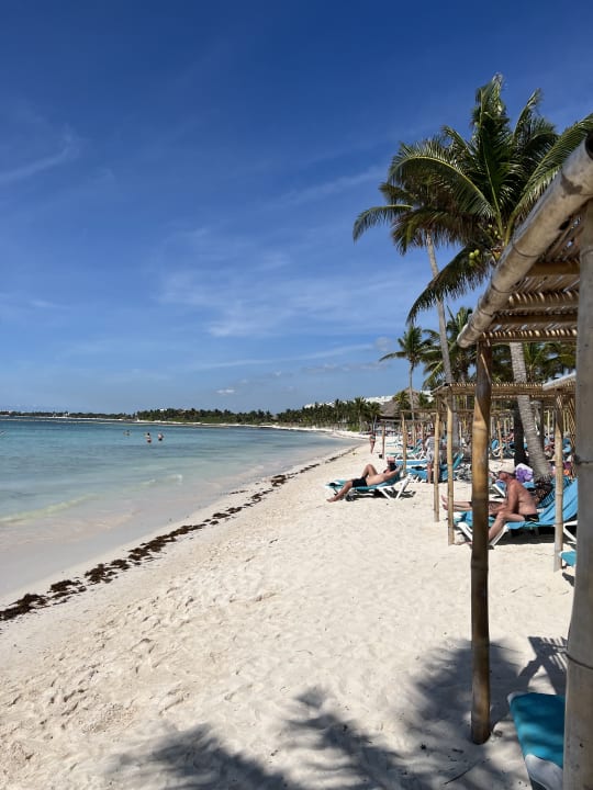 Strand Akumal Bay Beach & Wellness Resort