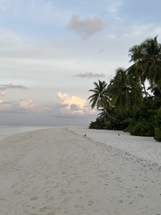 Strand ROBINSON MALDIVES