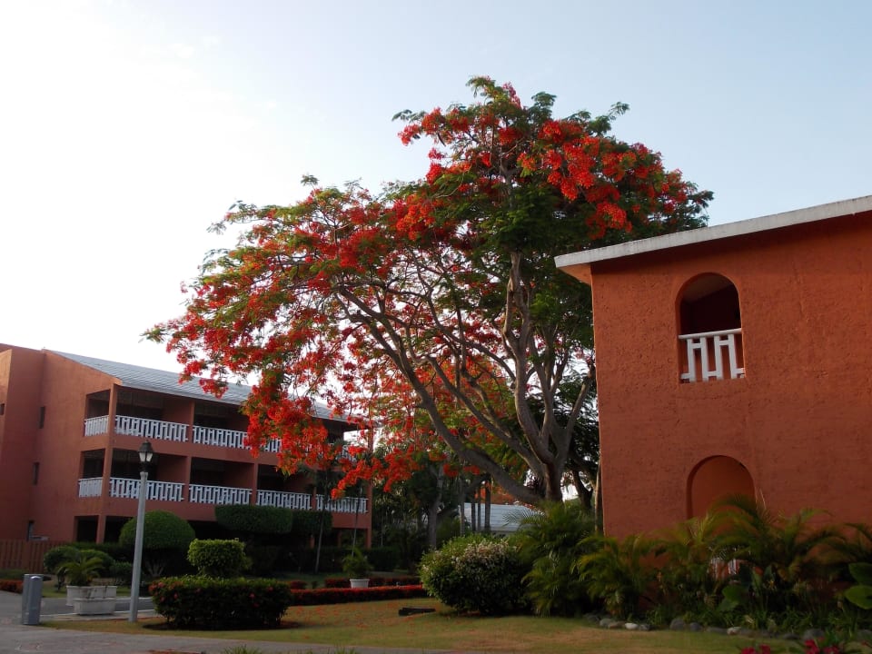 Weitere Bungalos BelleVue Dominican Bay