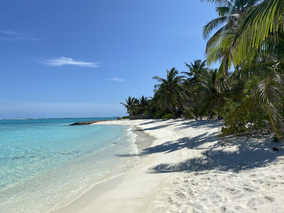 Strand Summer Island Maldives