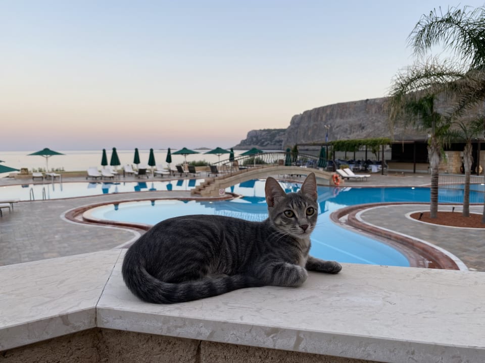 Pool Lindian Dream Seaside Resort