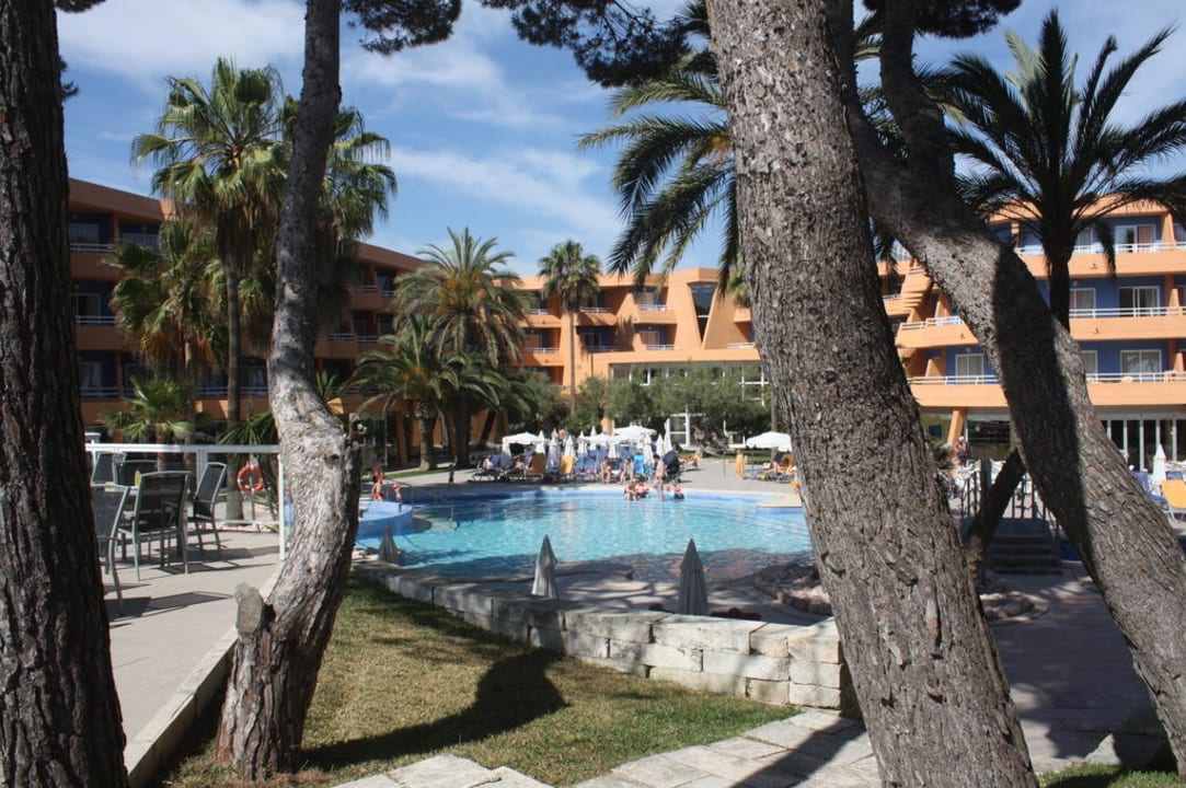 Garten mit Pool Iberostar Waves Playa de Muro