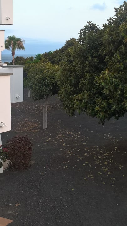 Ausblick allsun App.-Hotel Albatros