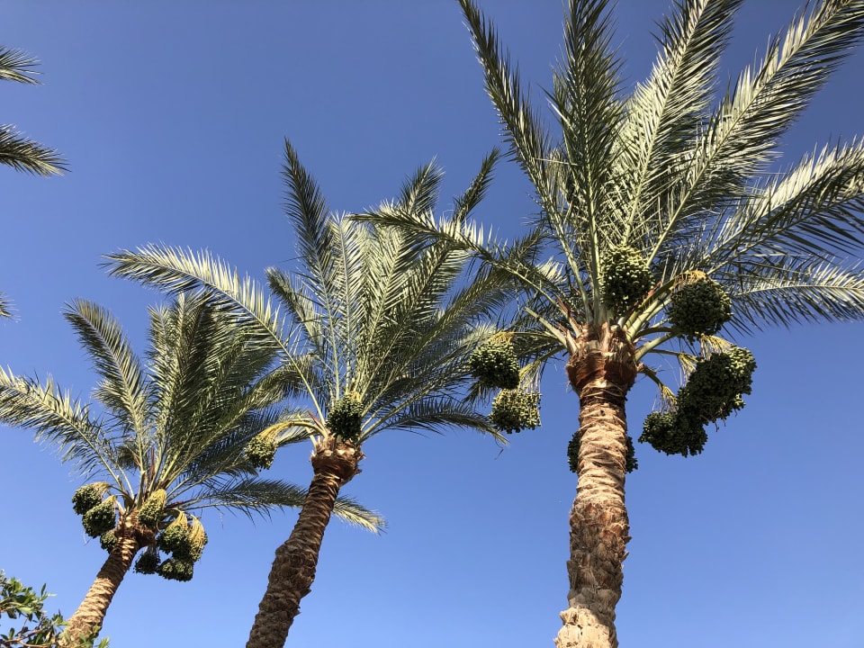 Sonstiges Akassia Swiss Resort