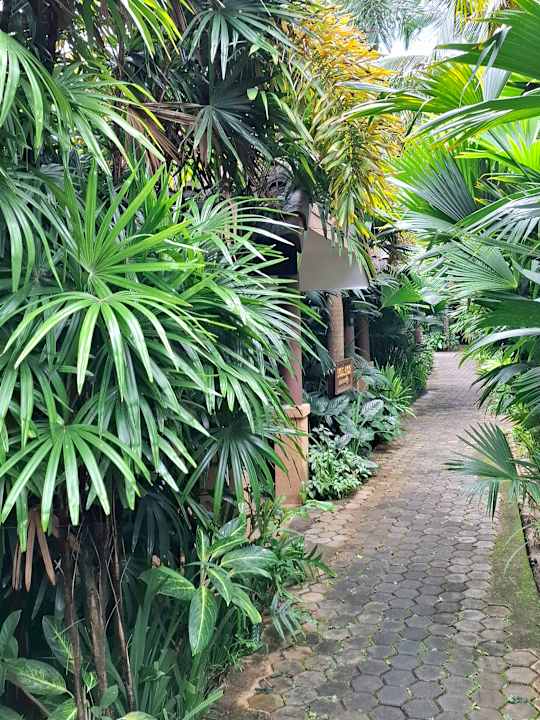 Gartenanlage Laluna Hotel & Resort