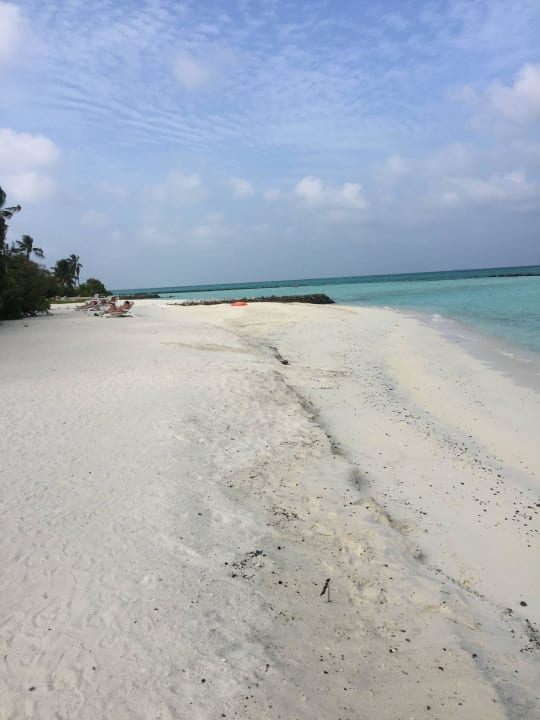 Ostseite Summer Island Maldives