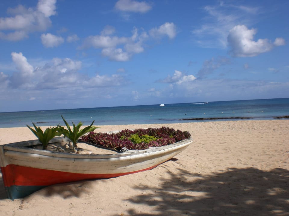 Deko am Strand Maritim Resort & Spa Mauritius