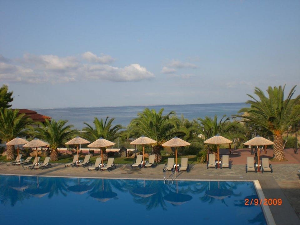 Pool mit Meerblick Blue Dolphin Resort Hotel