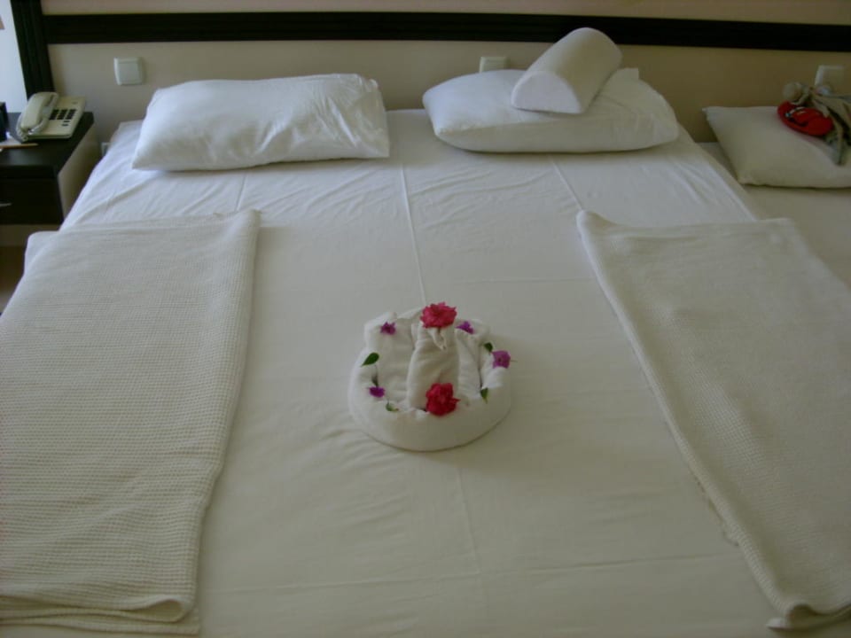 Doppelzimmer Hotel Orfeus Park