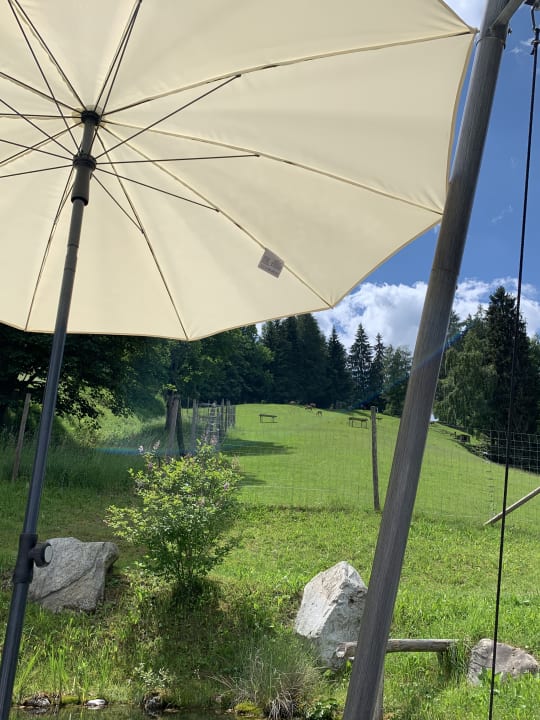 Ausblick Natur & Wellnesshotel Höflehner