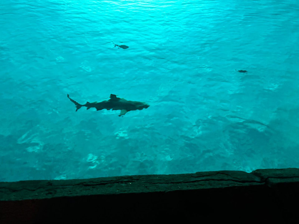 Sonstiges Kuredu Island Resort & Spa