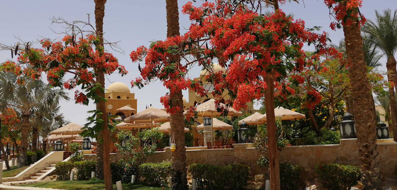 Außenansicht Makadi Spa - Adults only