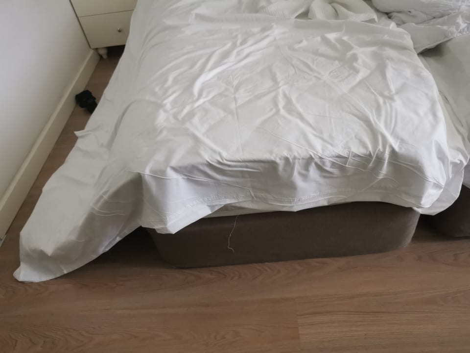 Zimmer Well Palace Side