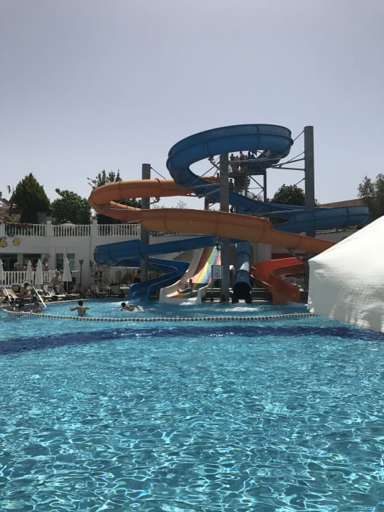 Pool Alba Queen Hotel