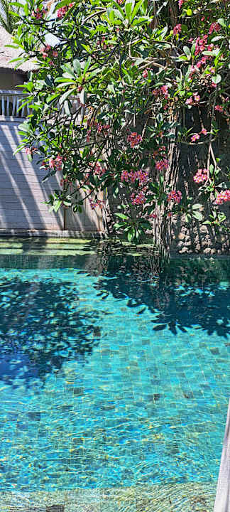 Pool Merusaka Nusa Dua Bali