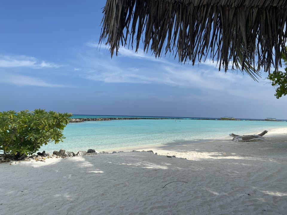 Strand Summer Island Maldives