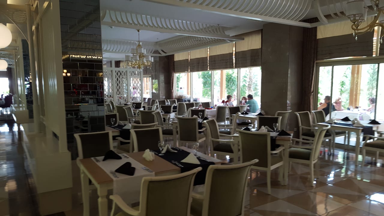 Gastro Well Palace Side