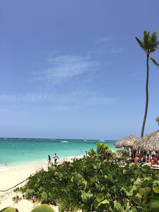 Ohne Worte.. Grand Palladium Select Bávaro Resort & Spa