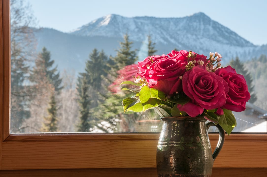 Ausblick Ferienwohnungen Trinkl
