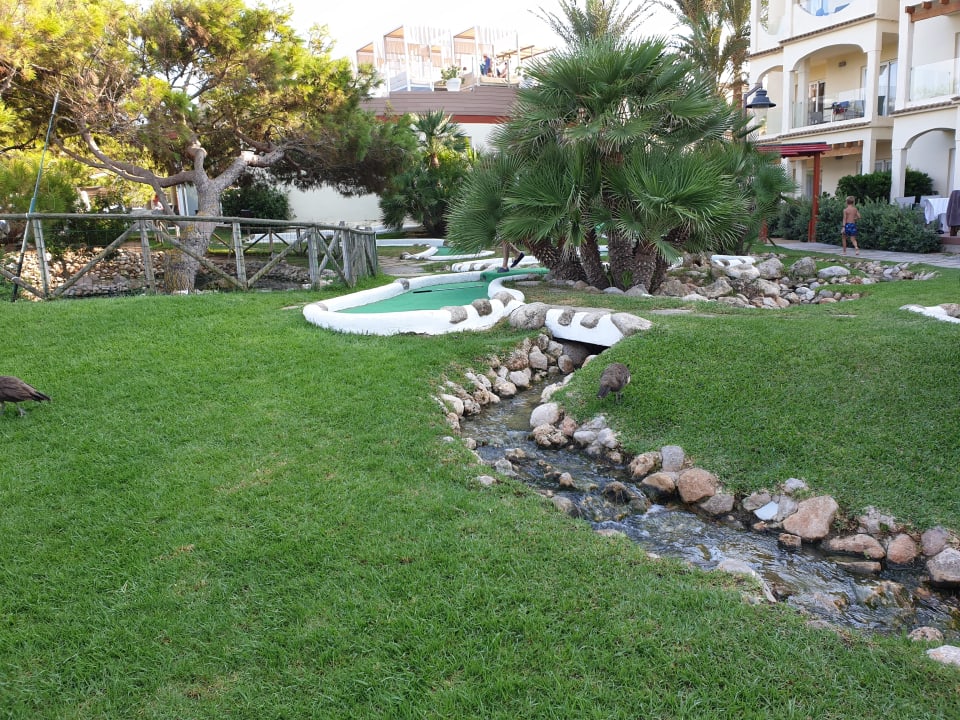 Gartenanlage Zafiro Bahia