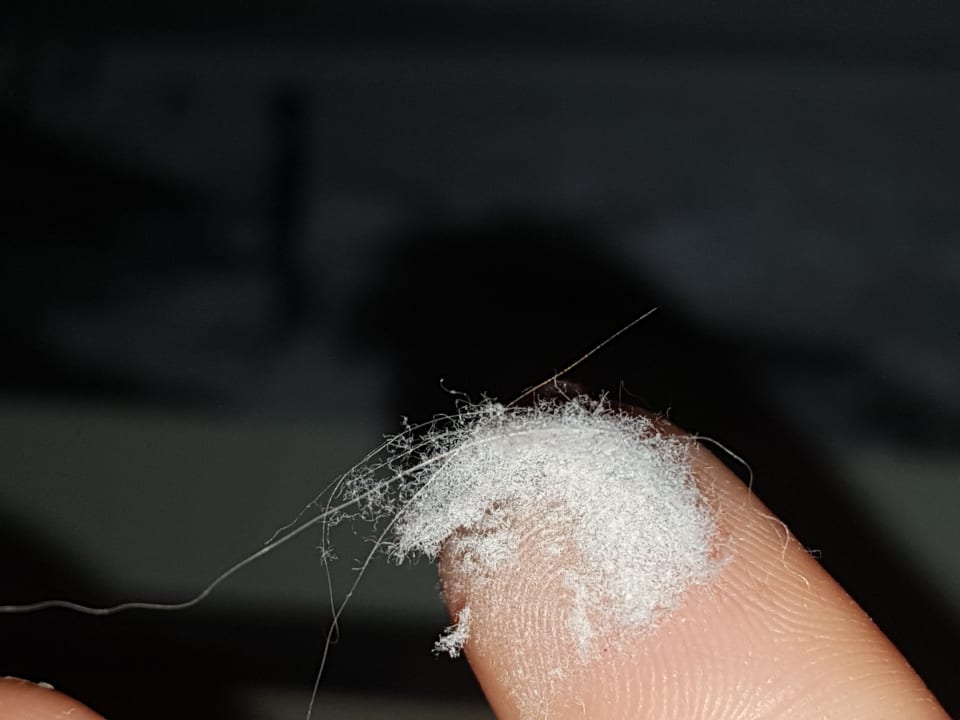 Zimmer Europa Hotel Kühlungsborn