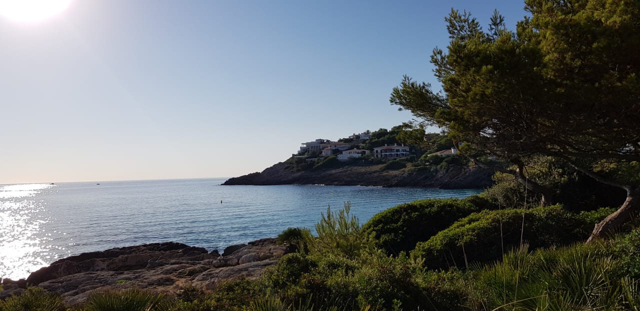 Ausblick Iberostar Waves Pinos Park