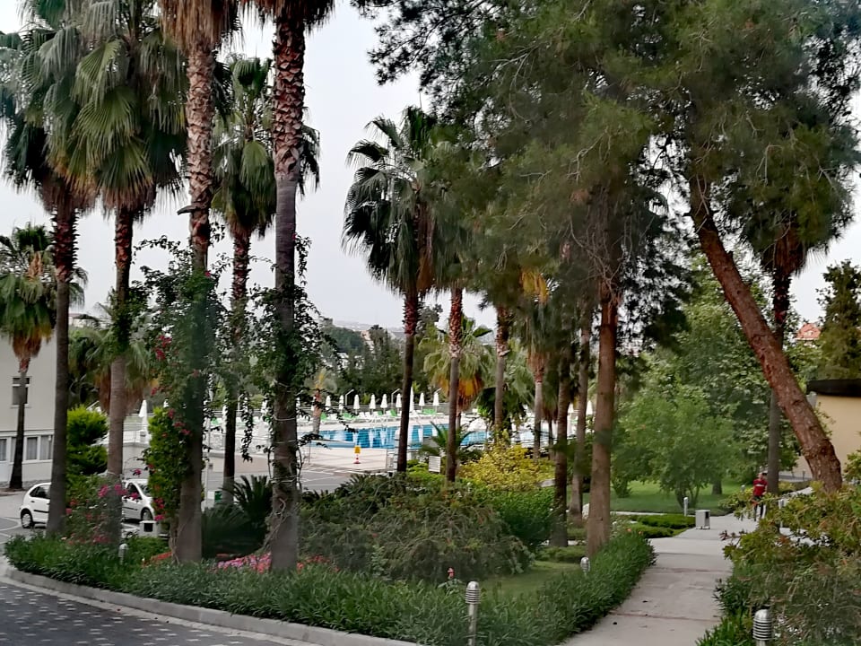 Gartenanlage Club Sidelya Hotel