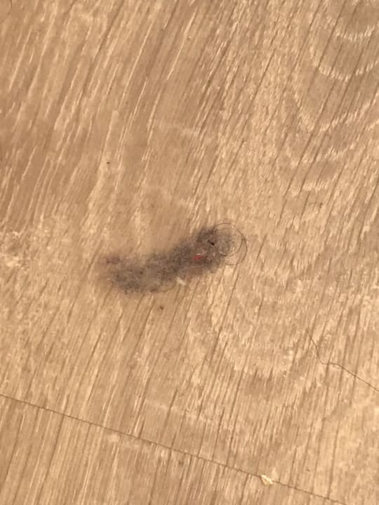 Zimmer CM Playa del Moro