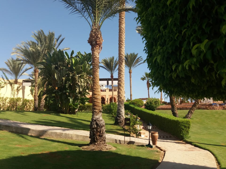 Gartenanlage Steigenberger Coraya Beach - Adults only