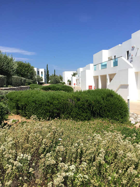 Gartenanlage Atlantica Plimmiri