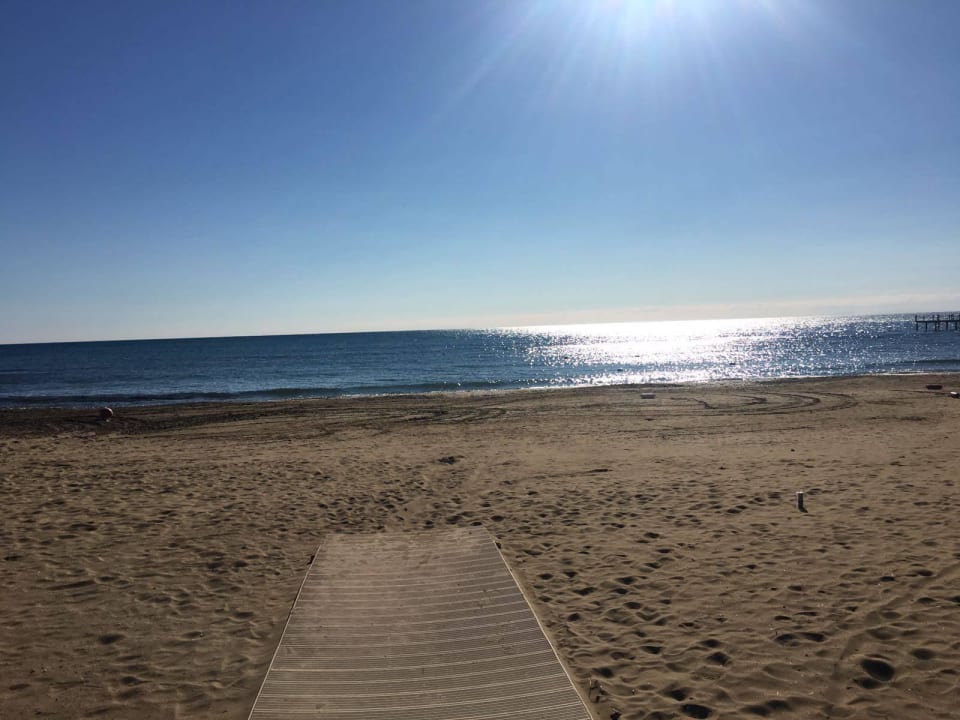 Sandstrand im Februar Arum Barut Collection