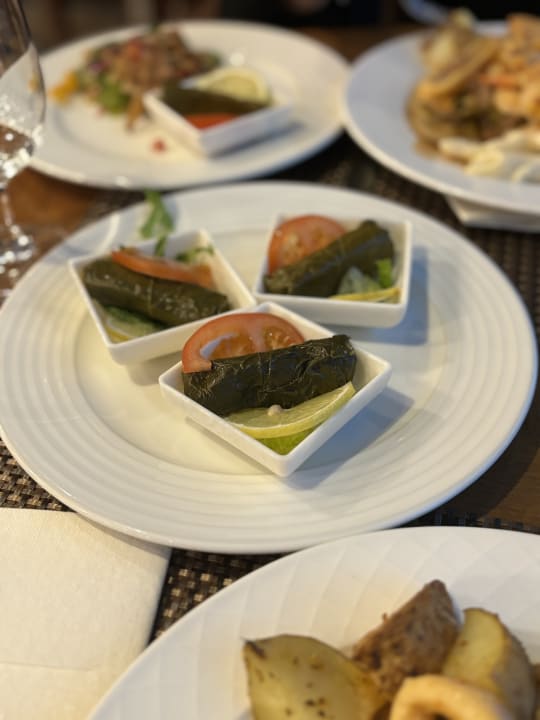 Gastro Rose Rayhaan by Rotana