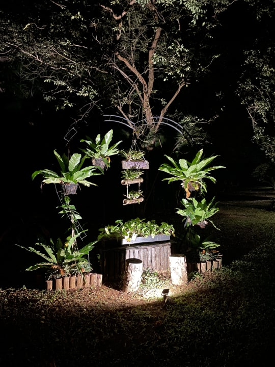 Gartenanlage Centara Koh Chang Tropicana Resort