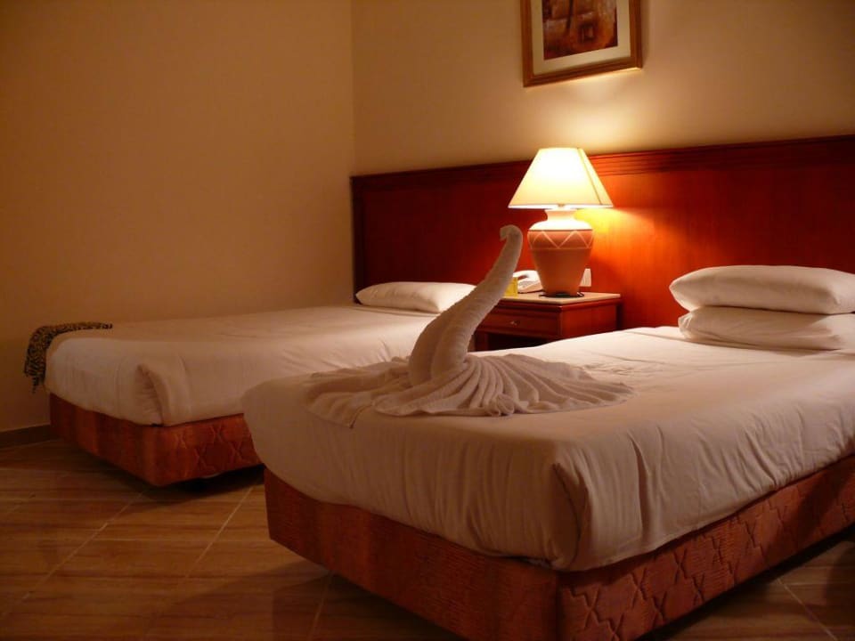 Pokój w hotelu solymar Malikia Resort Abu Dabbab