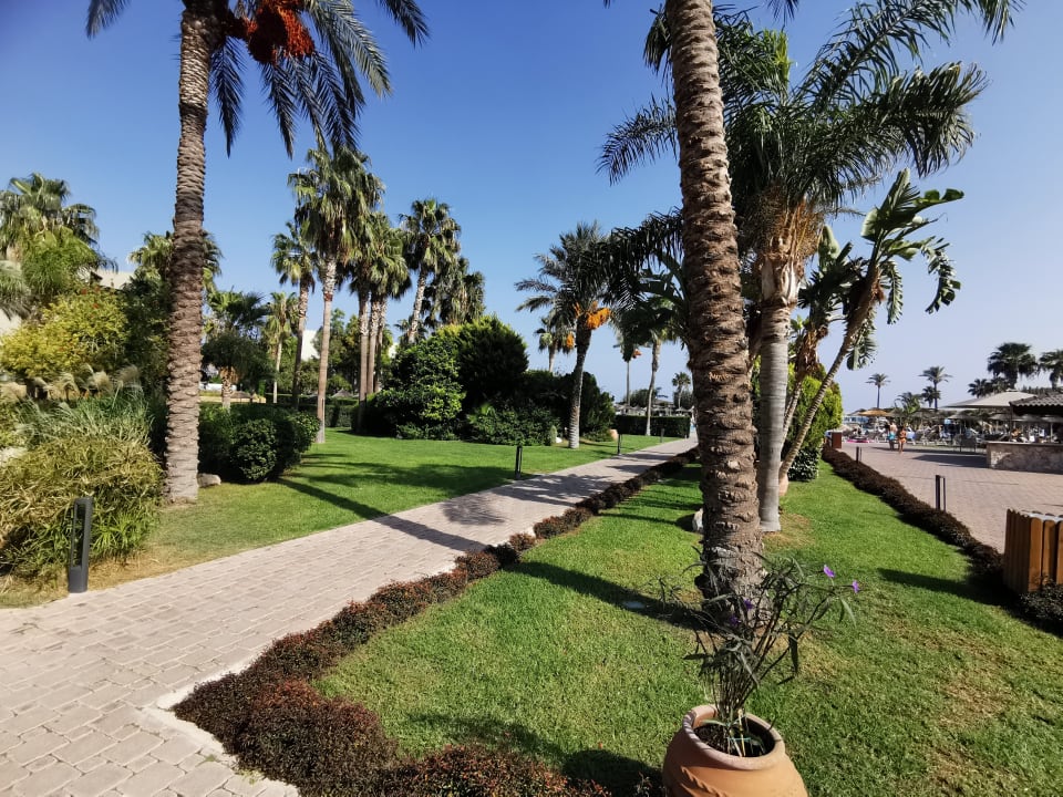 Gartenanlage Atlantica Aegean Blue