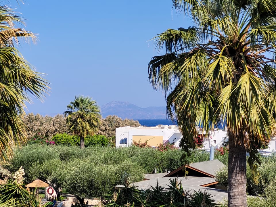 Ausblick TUI KIDS CLUB Alex Beach