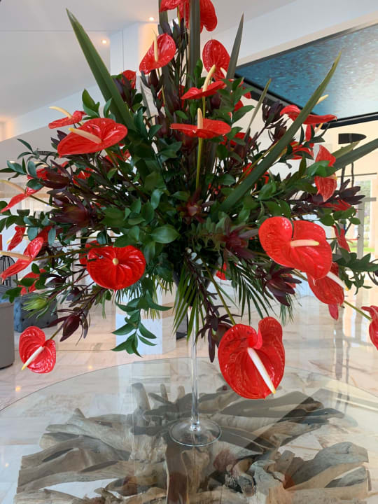 Sonstiges Hotel Baia Azul