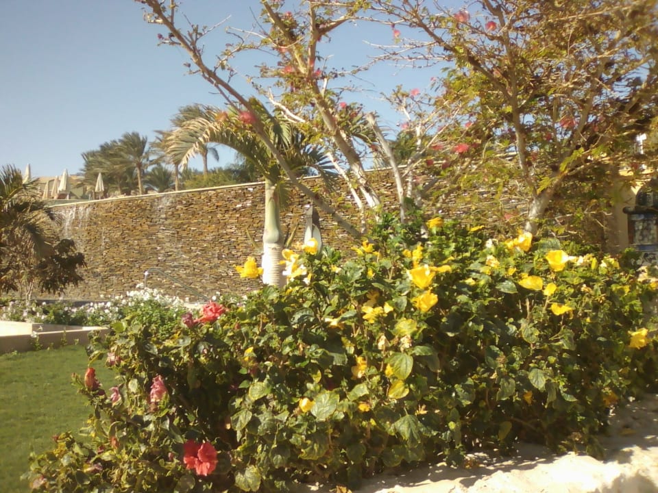 Garten Makadi Spa - Adults only