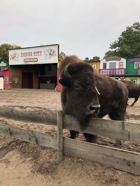 Sport & Freizeit Safariland Stukenbrock Erlebnisresort