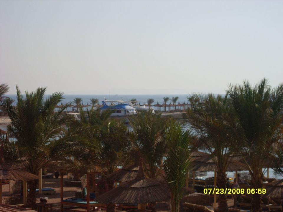 Ausblick beim Frühstück Beach Albatros Resort