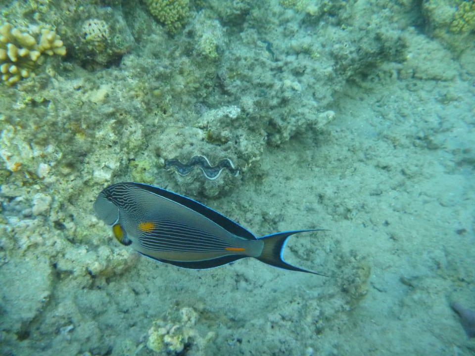 Sport & Freizeit Hotel Titanic Palace