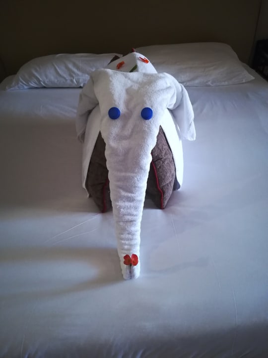 Zimmer Jaz Makadi Oasis Resort