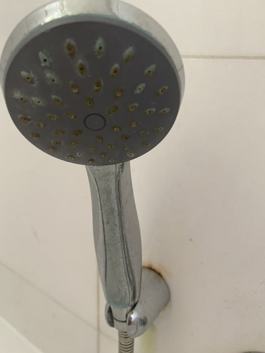 Zimmer Apollon Hotel