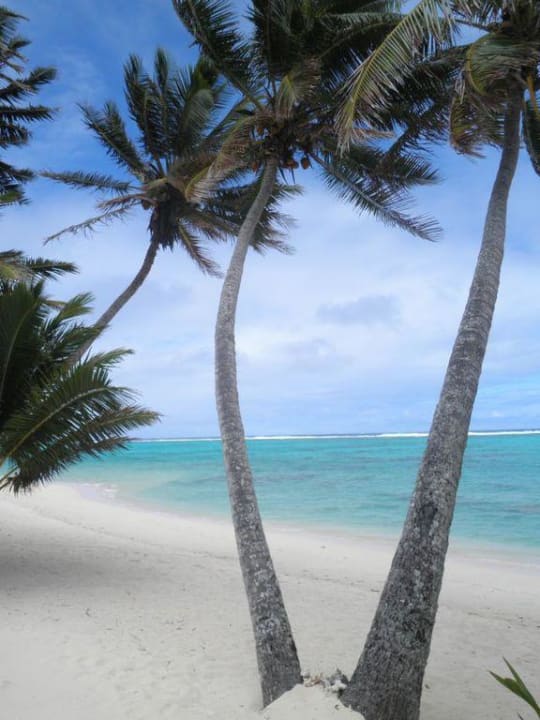 Blick aufs Meer Hotel Little Polynesian