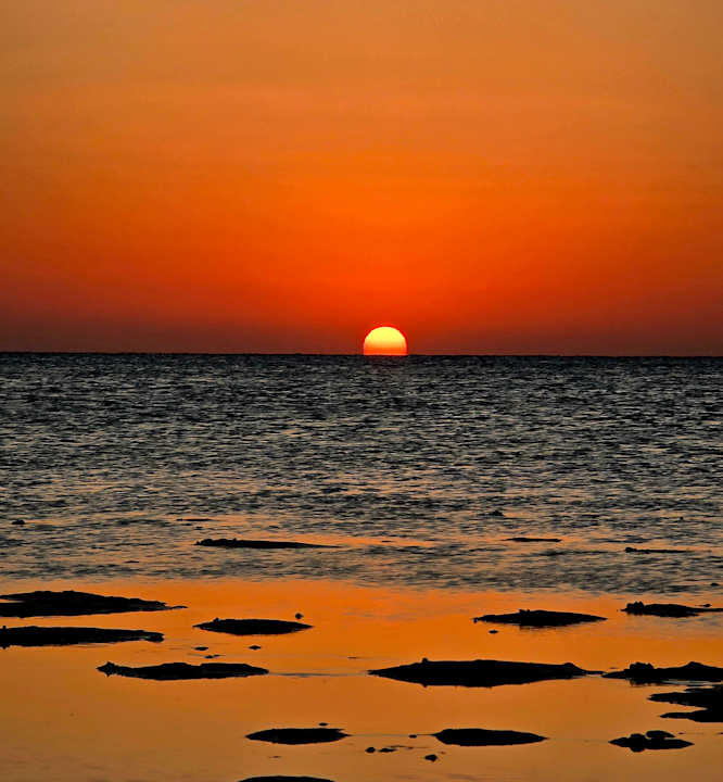 Strand JAZ Elite Asteria