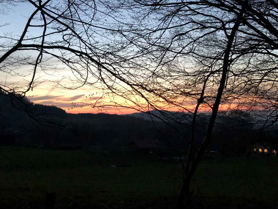 Ausblick Bauernhof Forellenhof