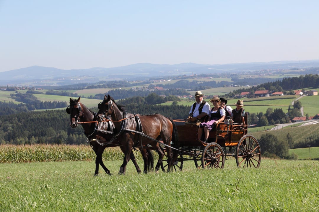 Kutschenfahrt mit den Rottaler Pferden  Hotel Gut Feuerschwendt