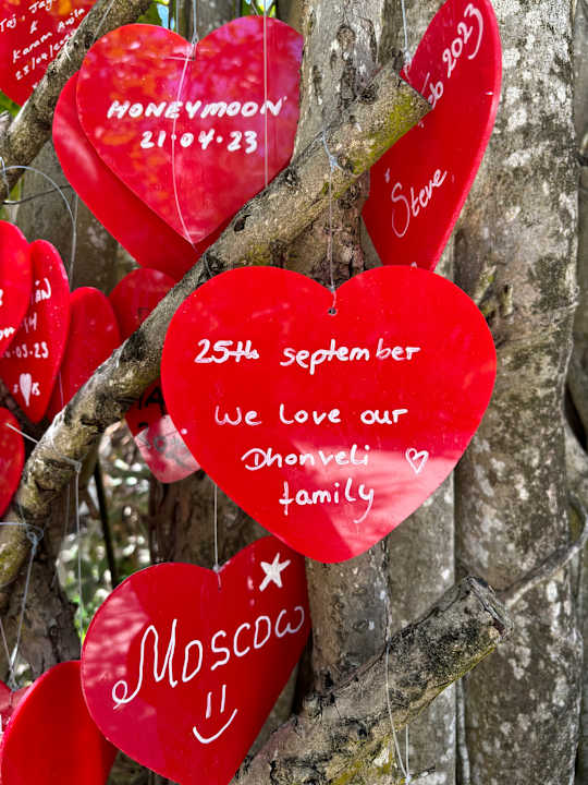 Sonstiges Cinnamon Dhonveli Maldives